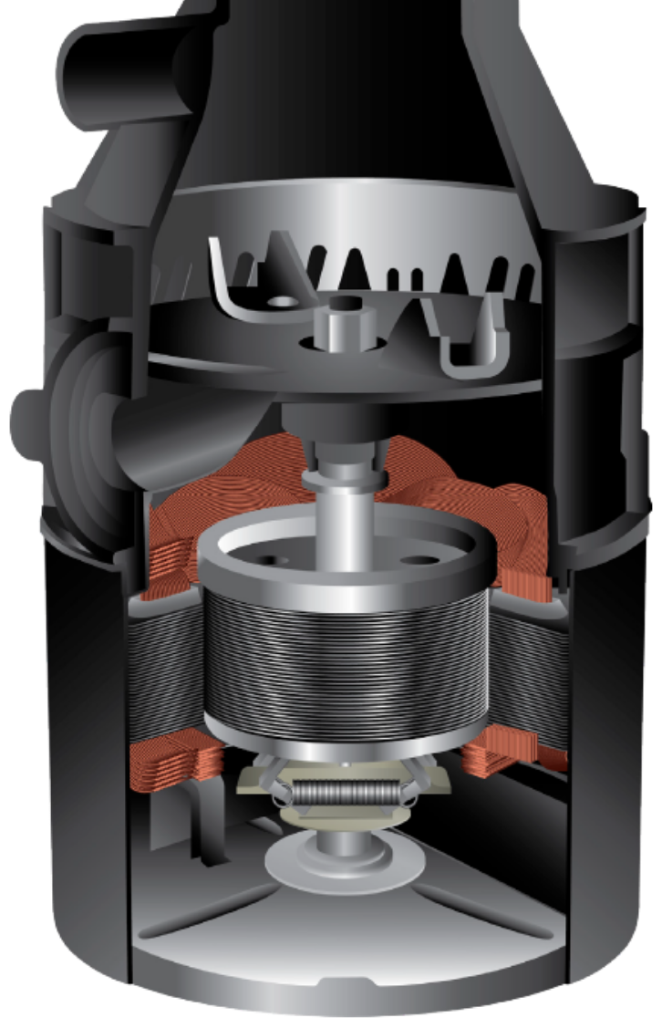 Badger Cutaway