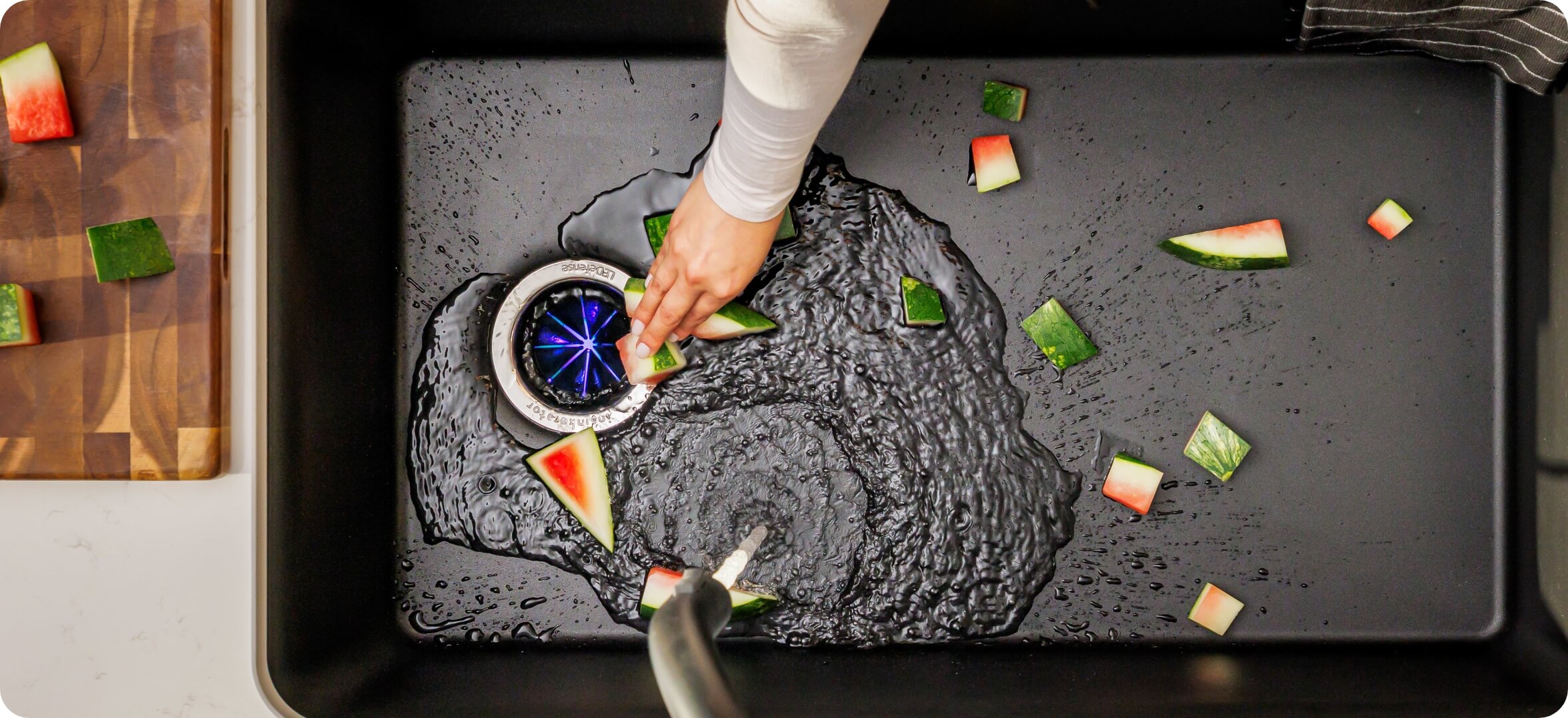 InSinkErator LEDefense Sink Flange in Kitchen