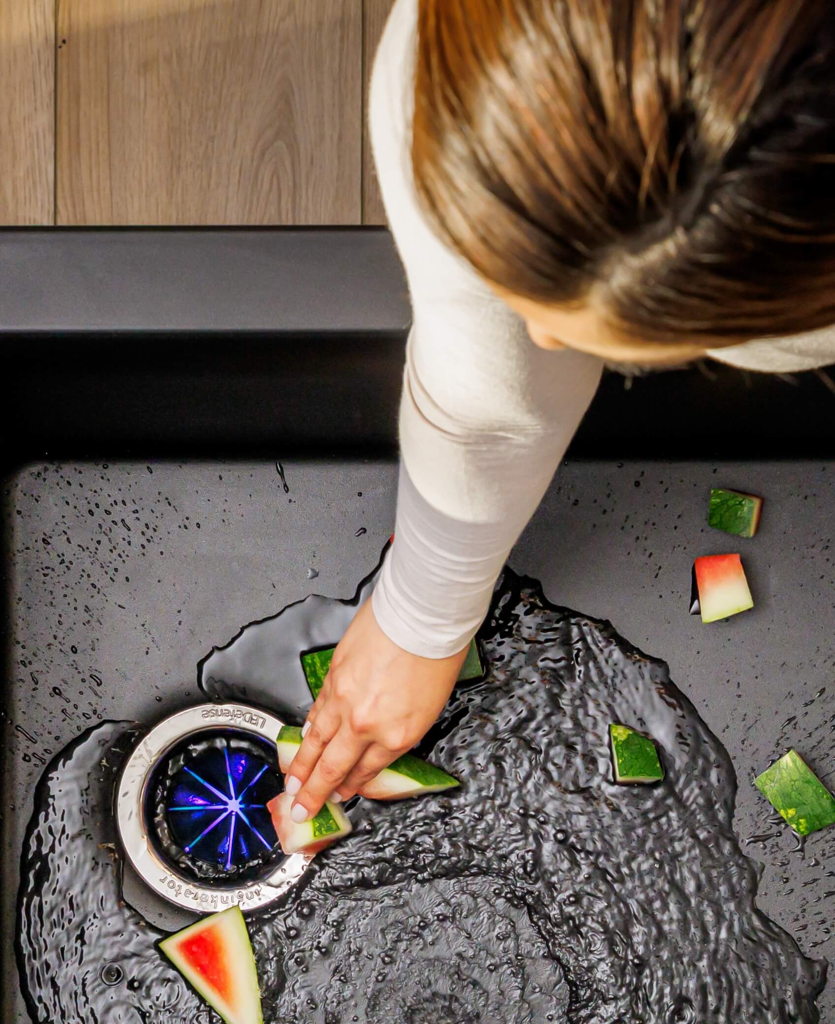 InSinkErator LEDefense Sink Flange in Kitchen